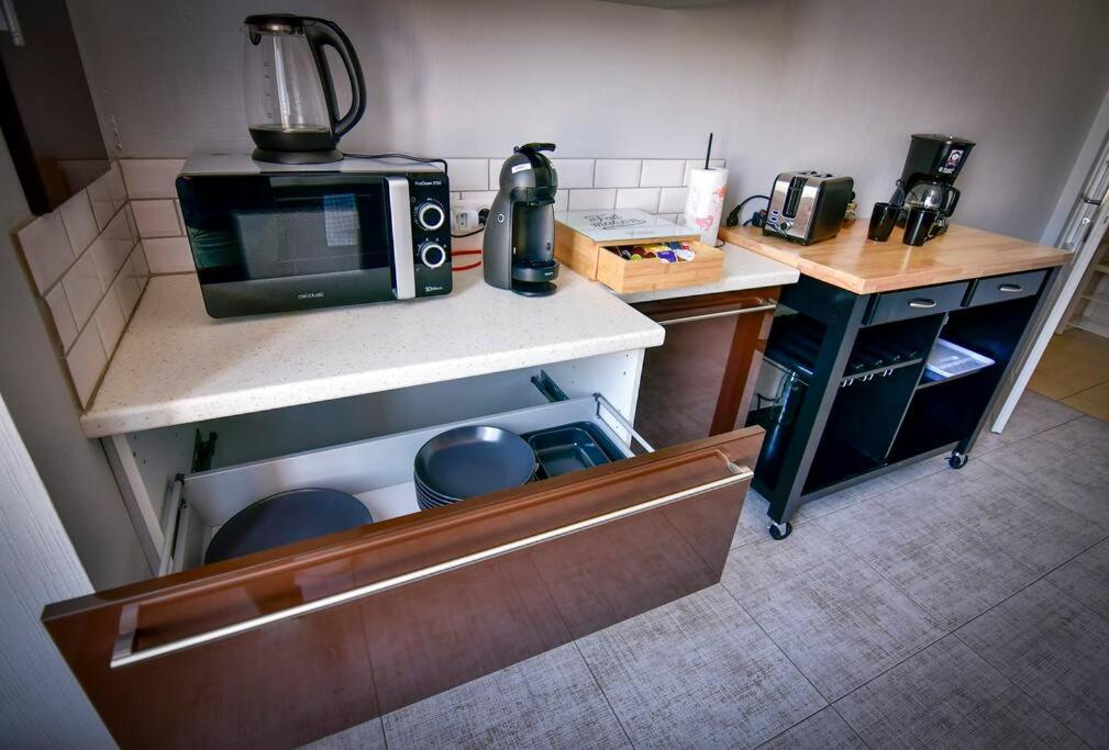 Grand Appartement De Haut Standing En Centre-Ville モンリュソン エクステリア 写真
