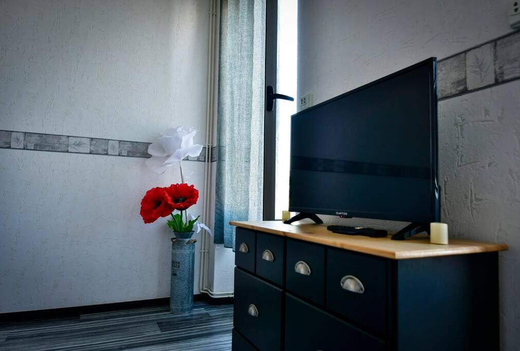 Grand Appartement De Haut Standing En Centre-Ville モンリュソン エクステリア 写真