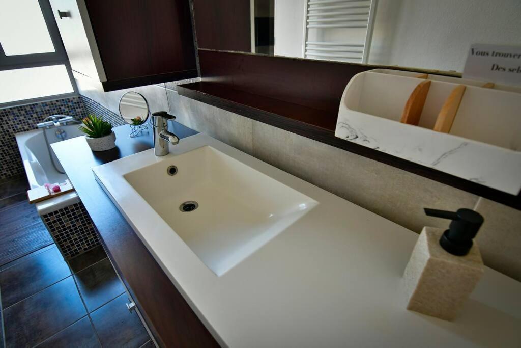 Grand Appartement De Haut Standing En Centre-Ville モンリュソン エクステリア 写真